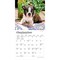 BrownTrout; Boston Terrier Puppies | 2027 7 x 14 Inch (Hanging) Monthly Mini Wall Calendar; Category:Wall Calendars; Image:5
